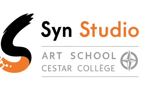 Syn Studio Syn Studio